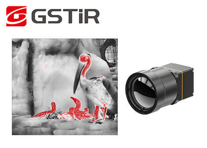 Modul 640x512 12μM Uncooled Thermal Imaging für Beobachtung der wild lebenden Tiere