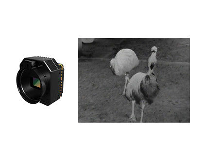 Ungekühltes Infrarot-Wärmekamera-Modul mit mehreren Objektiven